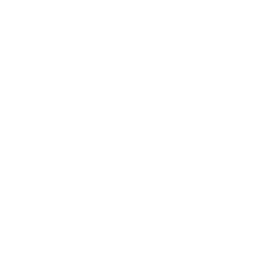 https://vans.com.ar/